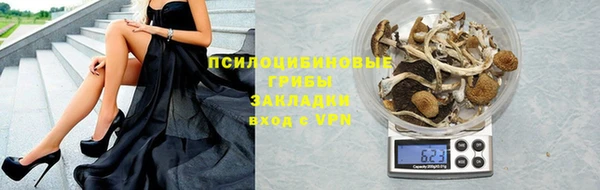 амф Покачи