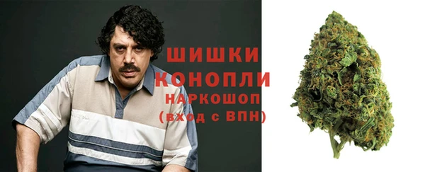 молекула духа Волосово