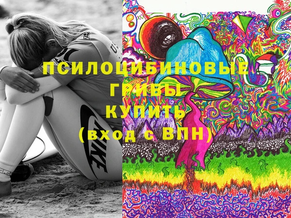 шишки Пролетарск